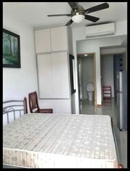 Forestville (D25), Condominium #587786261